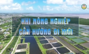 Nông nghiệp công nghệ cao - Xu hướng phát triển bền vững