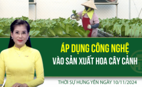 Thời sự Hưng Yên Chủ nhật 10/11/2024