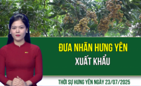 Thời sự Hưng Yên thứ Sáu ngày 25/07/2025