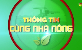 Thông tin cùng nhà nông: Phòng trừ bệnh trên cây có múi