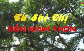 Từ Sài Thị đến Ninh Thôn