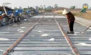 Mặn mòi hạt muối Tam Đông