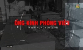 Ống kính phóng viên ngày 11/8/2026