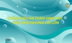 Phát triển chăn nuôi theo hướng an toàn