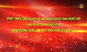 Phát triển công nghiệp hỗ trợ, nông nghiệp công nghệ cao bền vững 