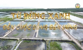 Từ rừng xanh đến cuộc sống bền vững