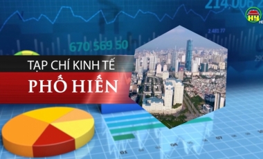 Góc nhìn về tình trạng cò đất hoành hành, thao túng các phiên đấu giá