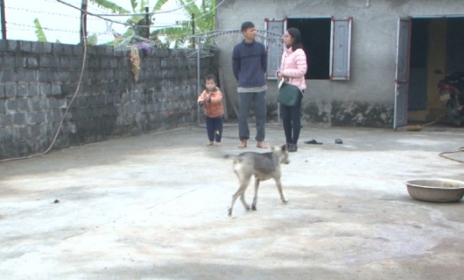 Văn Lâm: Tái diễn nạn mất trộm chó mèo ở thôn Đồng Xá
