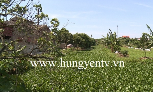 Phù Cừ còn tồn tại nhiều vi phạm công trình thủy lợi