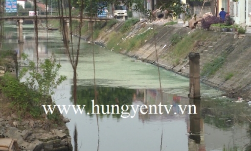 Nhiều dòng sông ở Phù Cừ bị bức tử bởi nước thải sinh hoạt và chăn nuôi