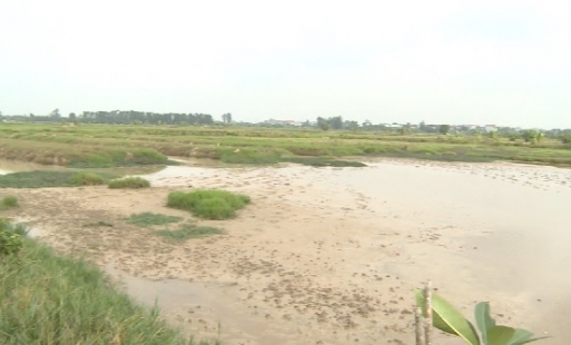 Văn Lâm: Xã mới chủ trương, thôn đã tự ý chuyển đổi đất canh tác