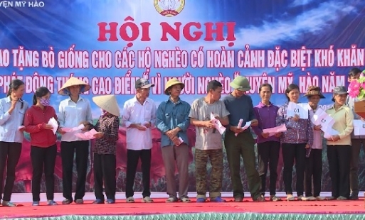 Trao tặng bò giống cho 15 hộ nghèo ở Mỹ Hào