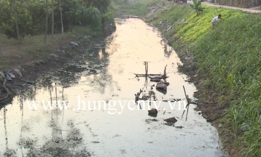 Ô nhiễm môi trường do chăn nuôi trong khu dân cư ở xã Hoàng Hanh, thành phố  Hưng Yên