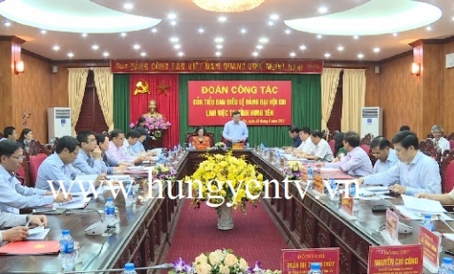 Trưởng ban Dân vận Trung ương làm việc với Ban Thường vụ Tỉnh ủy