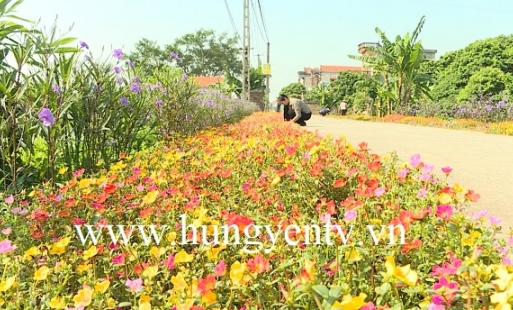 Xã Cẩm Ninh xây dựng NTM gắn với giữ gìn nét đẹp làng quê xanh - sạch - đẹp