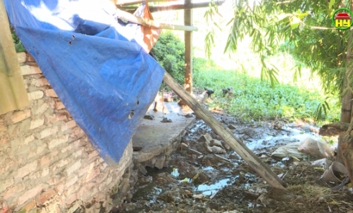 Tình trạng ô nhiễm do chăn nuôi trong khu dân cư ở xã Hoàng Hanh  