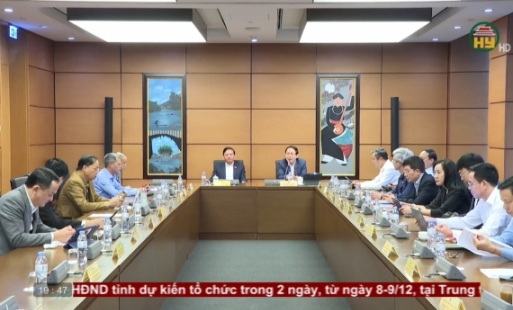 Thảo luận về dự án luật