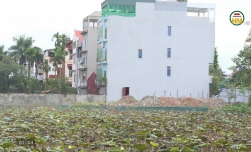 Xử lý nghiêm tình trạng san lấp đất nông nghiệp trái phép