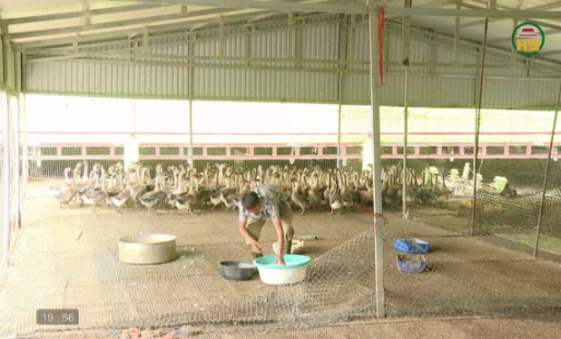Chuyển đổi sản xuất, nâng cao giá trị nông nghiệp 