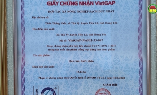 Hợp tác xã Nông nghiệp sạch Duy Nhất đạt chứng nhận OCOP cho cây cam và bưởi