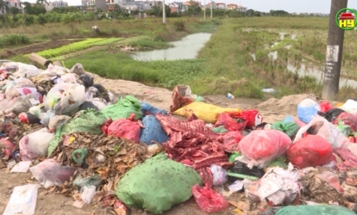 Xử lý nghiêm hành vi vứt xác động vật gây ô nhiễm môi trường