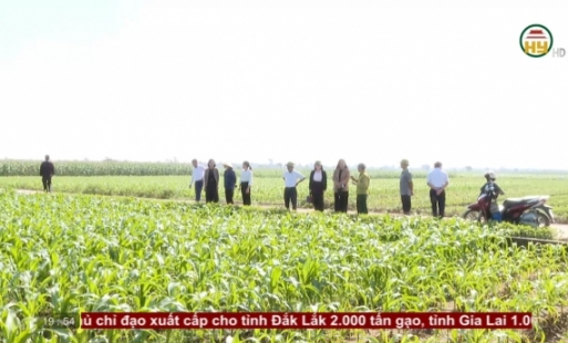 Dân vận khéo trong phát triển nông nghiệp