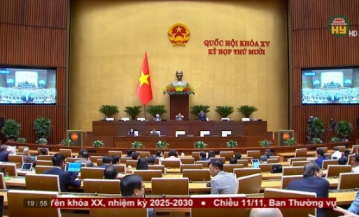 Thảo luận về một số dự án luật