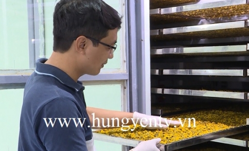Mô hình sấy lạnh hoa quả của anh Lê Đông Tuyến ở Khoái Châu