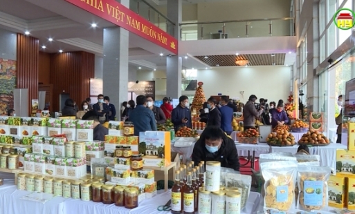 Kết nối cung, cầu  tiêu thụ cam và sản phẩm nông nghiệp - công nghiệp 