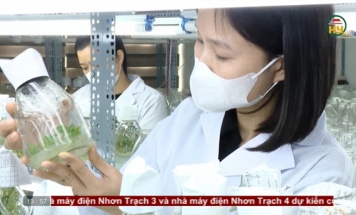 Nhân lực chất lượng cao thúc đẩy phát triển sản xuất