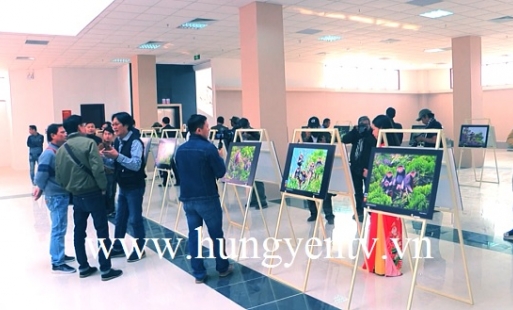 Triển lãm ảnh nghệ thuật “Nhìn từ tâm” 