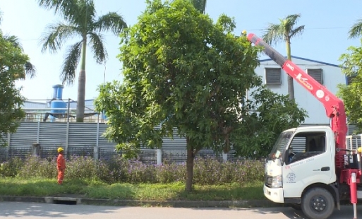 Công ty Điện lực Hưng Yên chủ động phòng chống bão siêu bão Mang khut