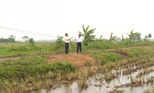 Khoái Châu: Chủ máy gặt lúa bị đòi tiền bảo kê 3 - 5 triệu đồng