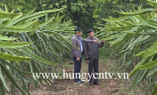 Kim Động: Xây dựng bản đồ thổ nhưỡng, góp phần đẩy mạnh chuyển đổi cơ cấu cây trồng