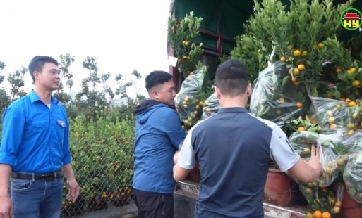 Tặng 150 cây quất cảnh cho các chiến sỹ tại quần đảo Trường Sa