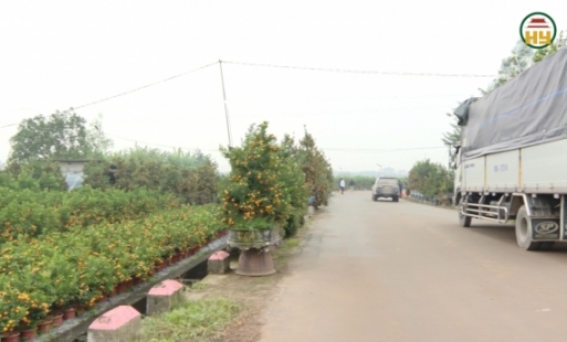 Tiêu thụ nông sản ở các làng nghề quất cảnh Mễ Sở