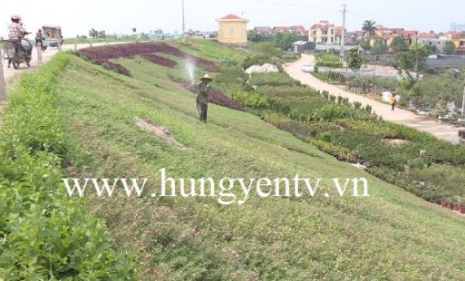 Văn Giang xây dựng tuyến đê kiểu mẫu