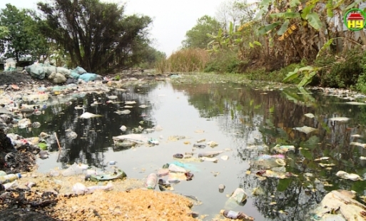 Ô nhiễm kênh Trần Thành Ngọ