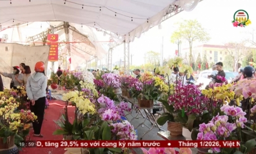 Thị trường hoa cây cảnh ngày cuối năm