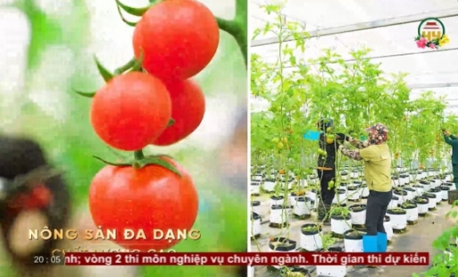 Xây dựng thương hiệu nông sản Hưng Yên 
