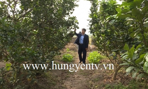 Xã Minh Phượng huyện Tiên Lữ làm tốt công tác quản lý đất đai