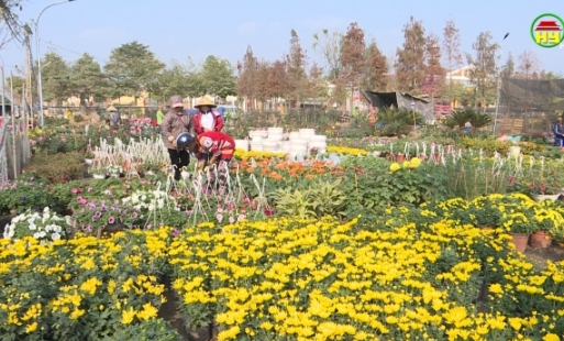 Phát triển làng nghề hoa cây cảnh gắn với du lịch nông nghiệp