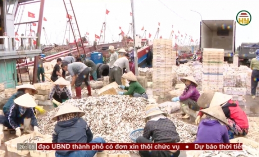 Ngư dân đón lộc biển đầu năm