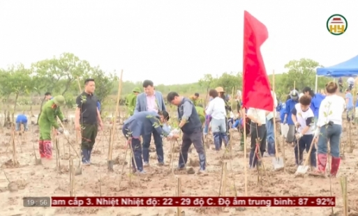 Trồng cây mùa xuân