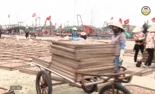 Xã Nam Cường phát triển kinh tế hướng biển