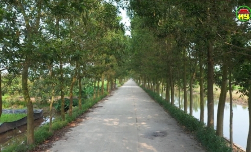 Đẩy nhanh thực hiện kế hoạch trồng cây nhân dân