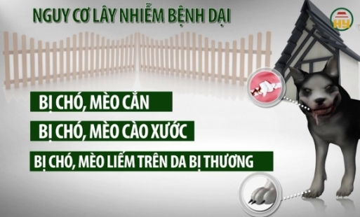 Khó khăn phòng chống bệnh dại 