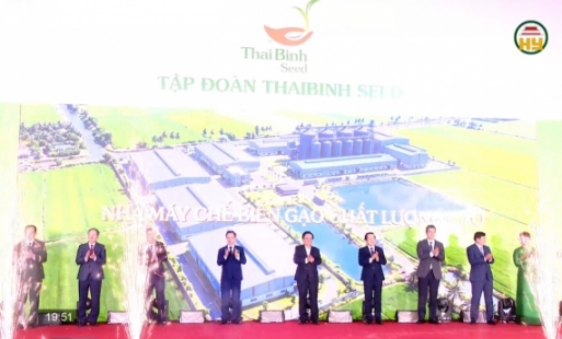 Khởi công nhà máy chế biến gạo chất lượng cao