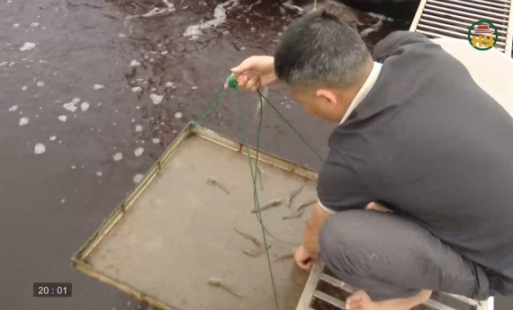 Phát huy hiệu quả nuôi tôm thẻ chân trắng