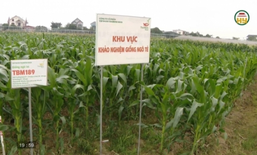 Phát triển dự án, công trình khoa học về nông nghiệp